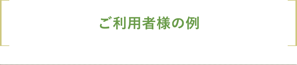 ご利用者様の例